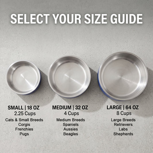Custom Laser-Engraved Stainless Steel Pet Bowl | Non-Slip Insulated Dish